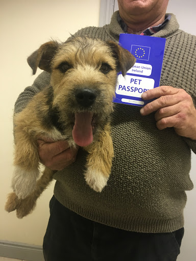 Slaney Veterinary Centre