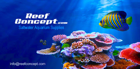 Reef Concept