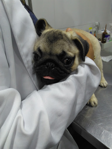 Centro Médico Veterinário Minas Vet em Barueri - SP