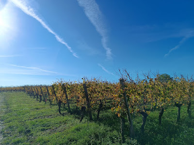Domaine Brana - Famille Delle Vedove à Maumusson-Laguian