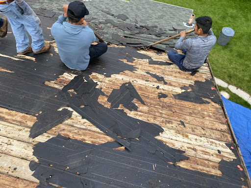 Roofing Contractor «Bone Dry Roofing», reviews and photos