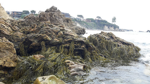 Tide Pools image