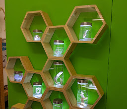 La Rodadora Espacio Interactivo photo