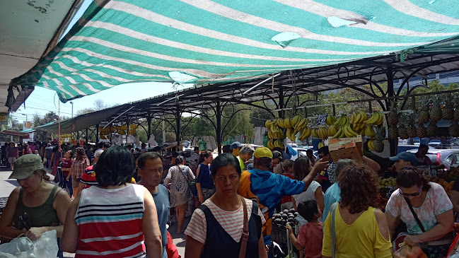 Opiniones de Grecia Farmer's Market en Ñuñoa - Supermercado