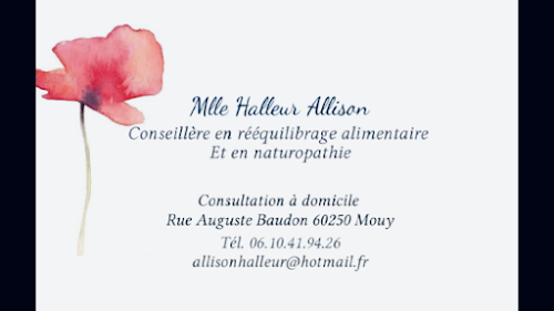 Naturopathe Halleur Allison Conseillère En Rééquilibrage Alimentaire Et En Naturopathie Mouy
