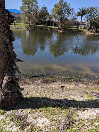 Golf Club «Stoneybrook Golf Club», reviews and photos, 21251 Stoneybrook Golf Blvd, Estero, FL 33928, USA