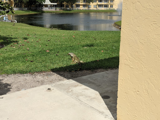 Movie Theater «Regal Cinemas Sawgrass 23 & IMAX», reviews and photos, 2600 NW 136th Ave, Sunrise, FL 33323, USA