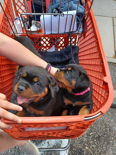 Pet Supply Store «Care-A-Lot Pet Supply Indian River», reviews and photos, 5457 Indian River Rd, Virginia Beach, VA 23464, USA