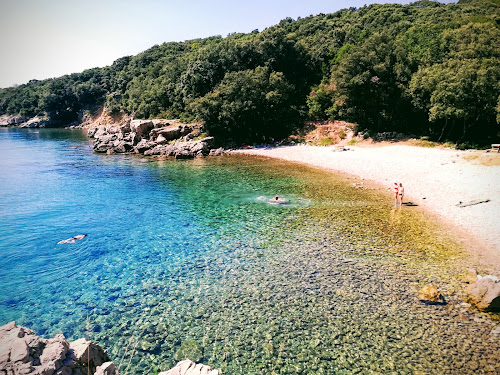 Pinezici beach photo #2