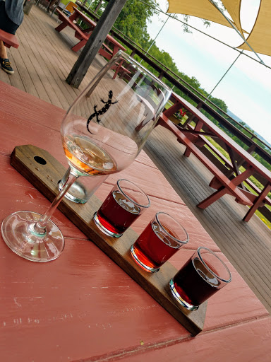 Bistro «Red Newt Cellars Winery and Bistro», reviews and photos, 3675 Tichenor Rd, Hector, NY 14841, USA