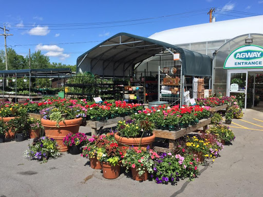 Potsdam Agway, 14 Pine St, Potsdam, NY 13676, USA, 