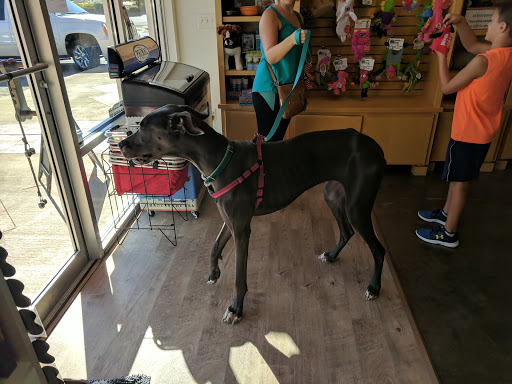 Pet Supply Store «Bow Wow & Meow», reviews and photos, 11607 Maumelle Blvd, North Little Rock, AR 72113, USA