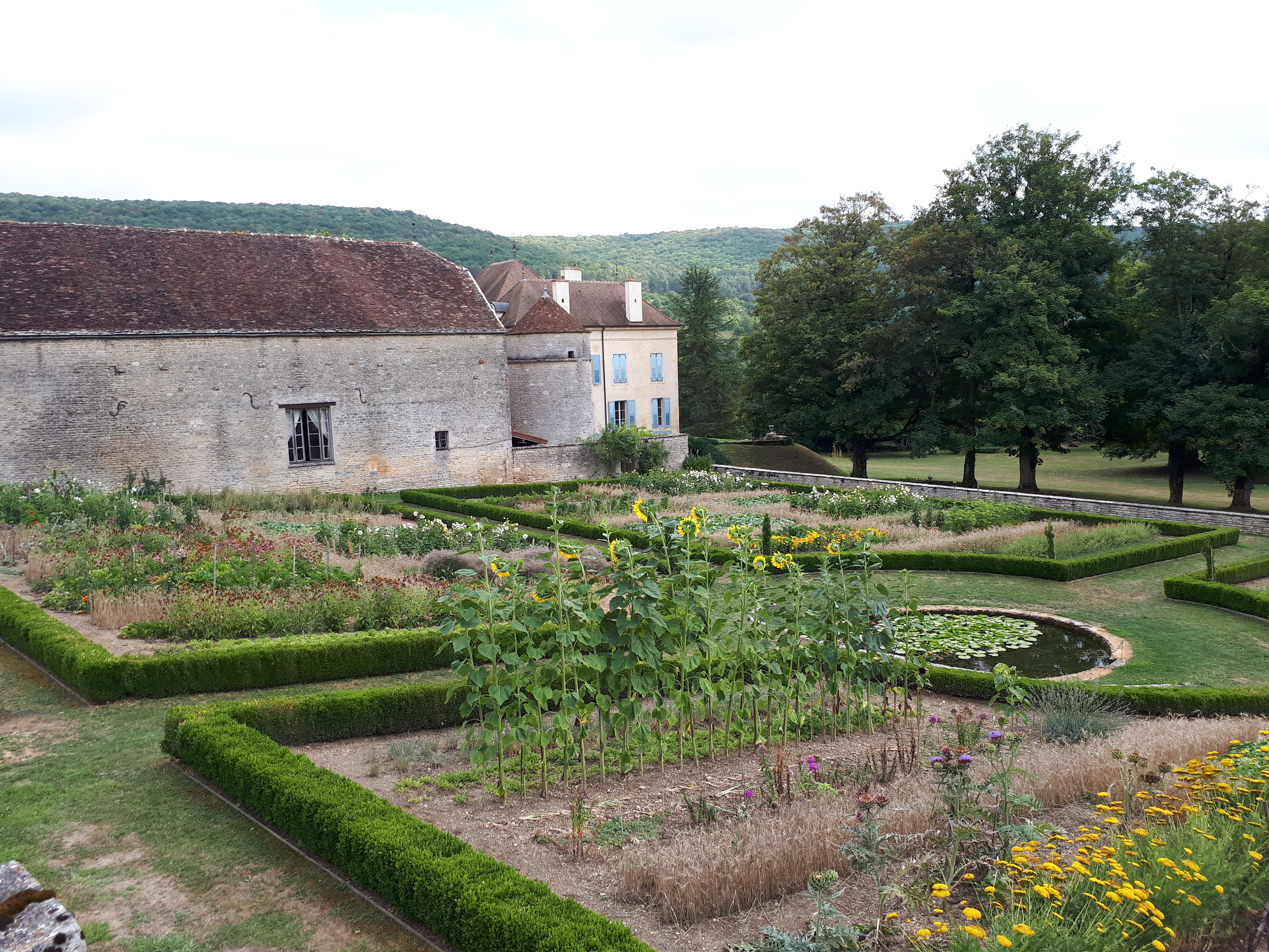 Photo n° 1 de l'avis de Mister. fait le 09/08/2018 à 05:31