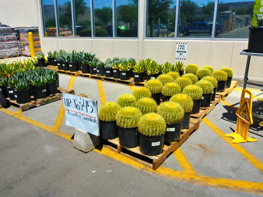 Home Improvement Store «The Home Depot», reviews and photos, 3860 Stockton Hill Rd, Kingman, AZ 86409, USA