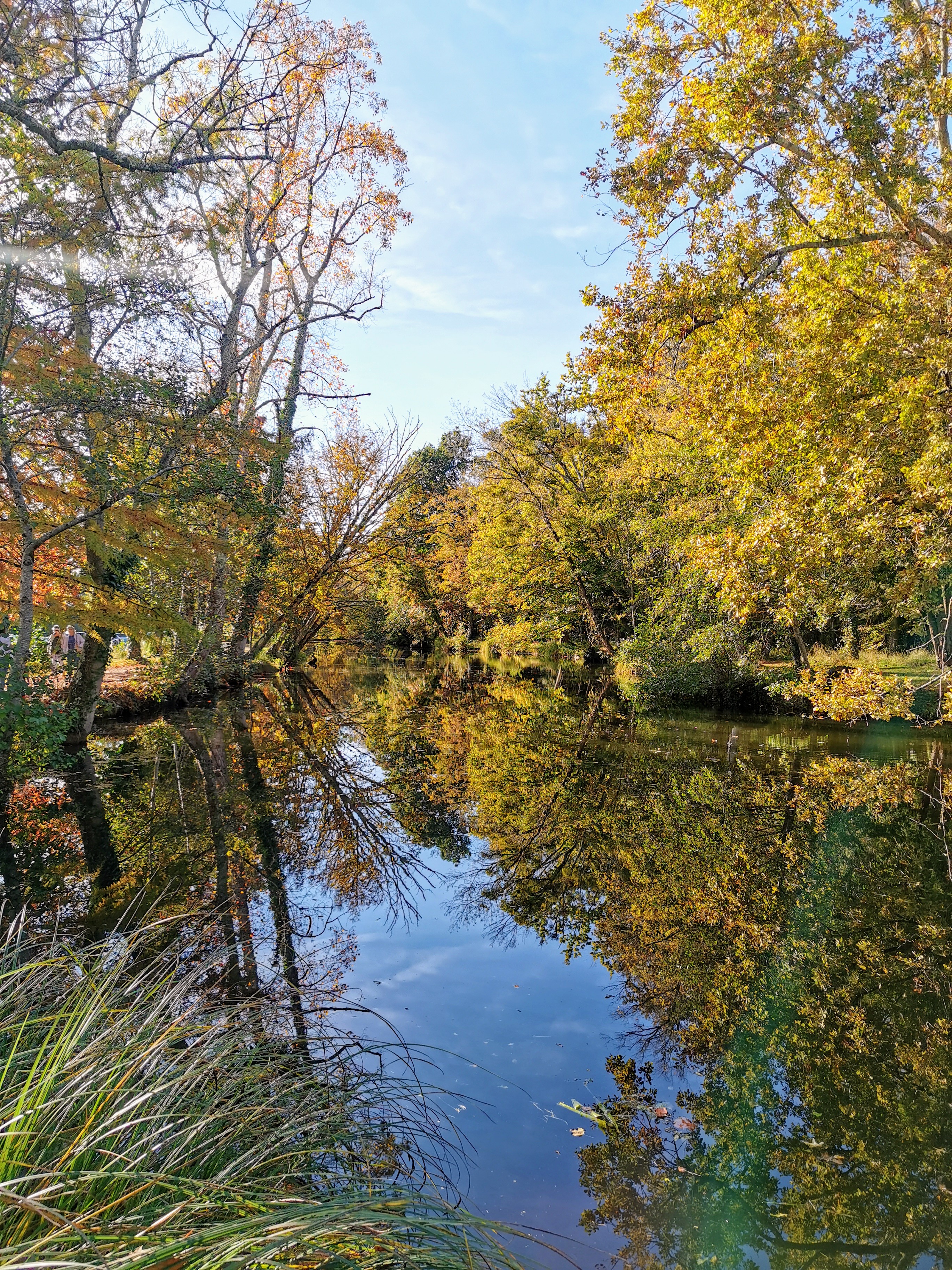 Photo n° 43 de l'avis de Alexandre.l fait le 27/10/2021 à 18:59