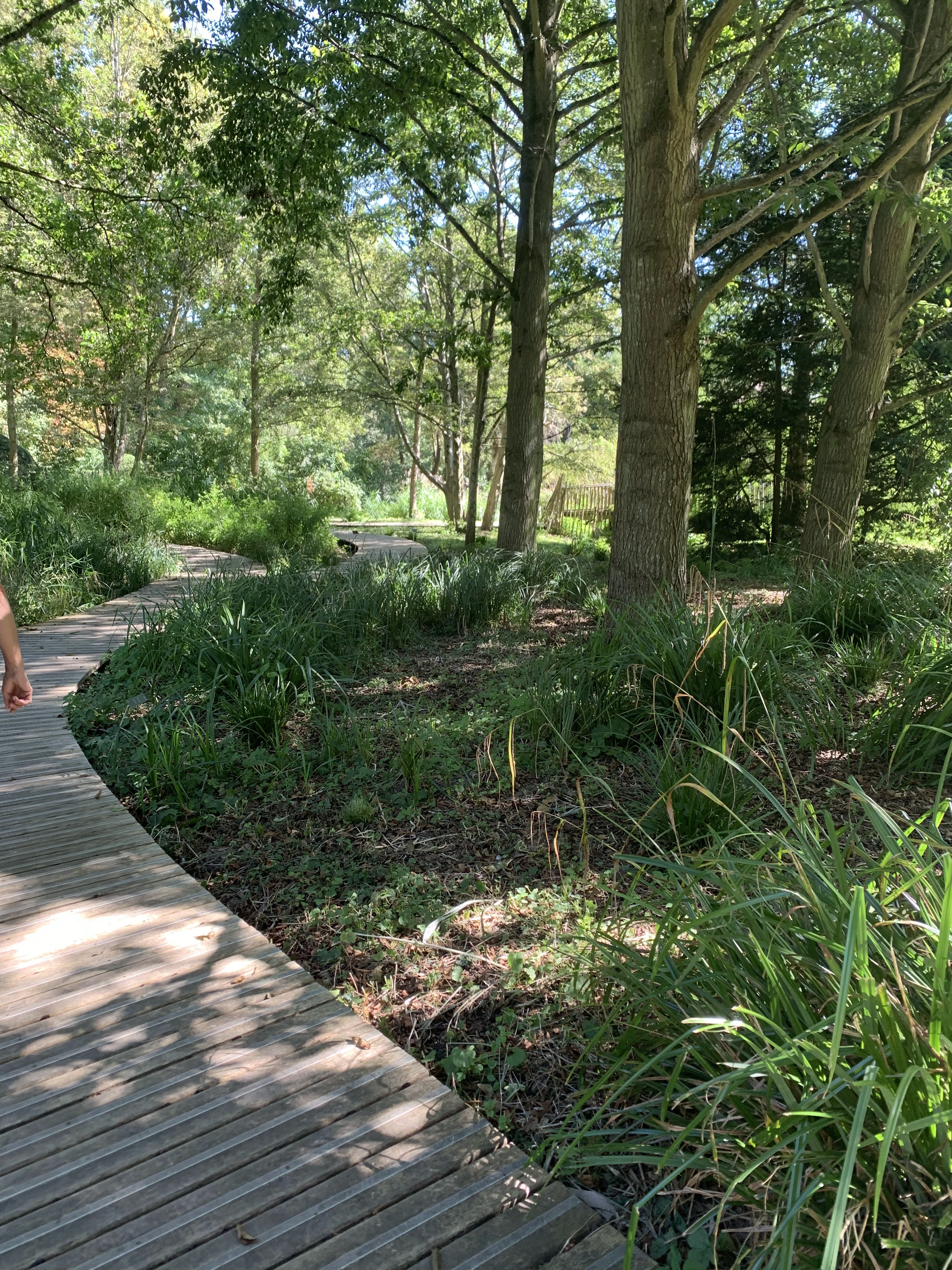 Photo n° 7 de l'avis de Shannah.u fait le 09/09/2023 à 18:52