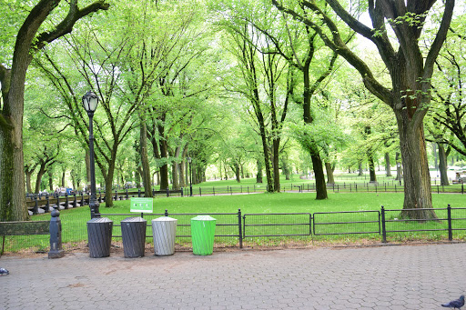 Modern Art Museum «The Museum of Modern Art», reviews and photos, 11 W 53rd St, New York, NY 10019, USA