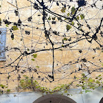 Photo n°1 de l'avis de Laura.o fait le 04/12/2023 à 19:08 sur le  Trattoria Ai Garibaldini - Ristorante à Mantua