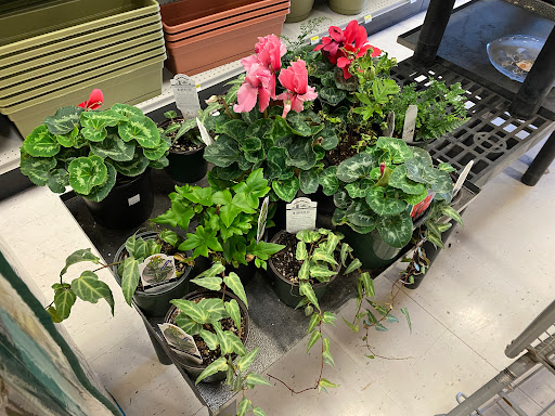 Animal Feed Store «Wilco Farm Store», reviews and photos, 2300 E Hancock St, Newberg, OR 97132, USA