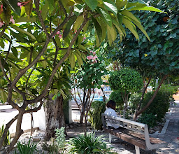 Parque La Obrera photo