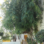 Photo n°5 de l'avis de Maria.a fait le 14/09/2017 à 19:16 sur le  Ourasol Praia Da Oura à Albufeira