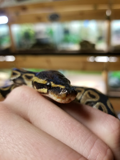 Pet Supply Store «CountryMax - Geneseo», reviews and photos, 4101 Lakeville Rd, Geneseo, NY 14454, USA