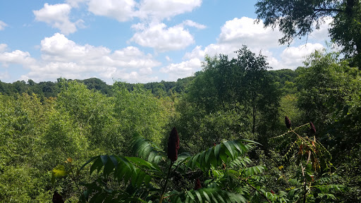 Nature Preserve «Mud Lake Bog Nature Preserve», reviews and photos, 905 E Elm Valley Rd, Buchanan, MI 49107, USA