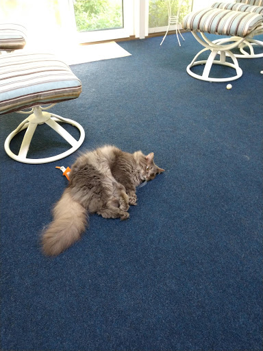 Public Golf Course «Fox Prairie Golf Course», reviews and photos, 8465 E 196th St, Noblesville, IN 46062, USA