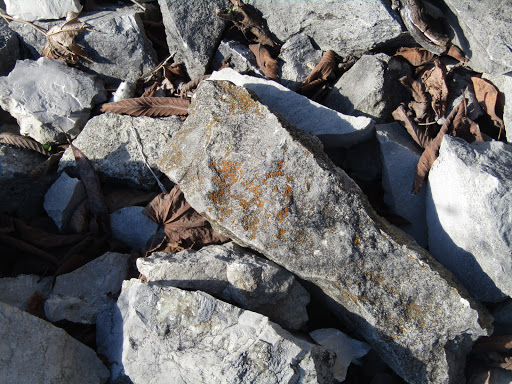 Park «DePauw Nature Park», reviews and photos, 1400 West County Road 125 South, Greencastle, IN 46135, USA