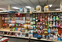 Lindsey Horse and Pet - Car repair in Fayetteville, GA, South Fulton - Rated 4.8/5