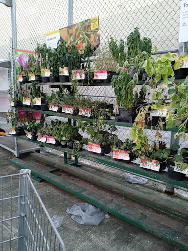 Department Store «Walmart Supercenter», reviews and photos, 14507 Plank Rd, Baker, LA 70714, USA