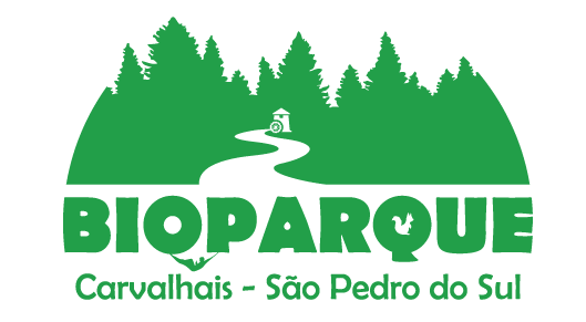 Avaliações doBioparque de Carvalhais em São Pedro do Sul - Campo de futebol