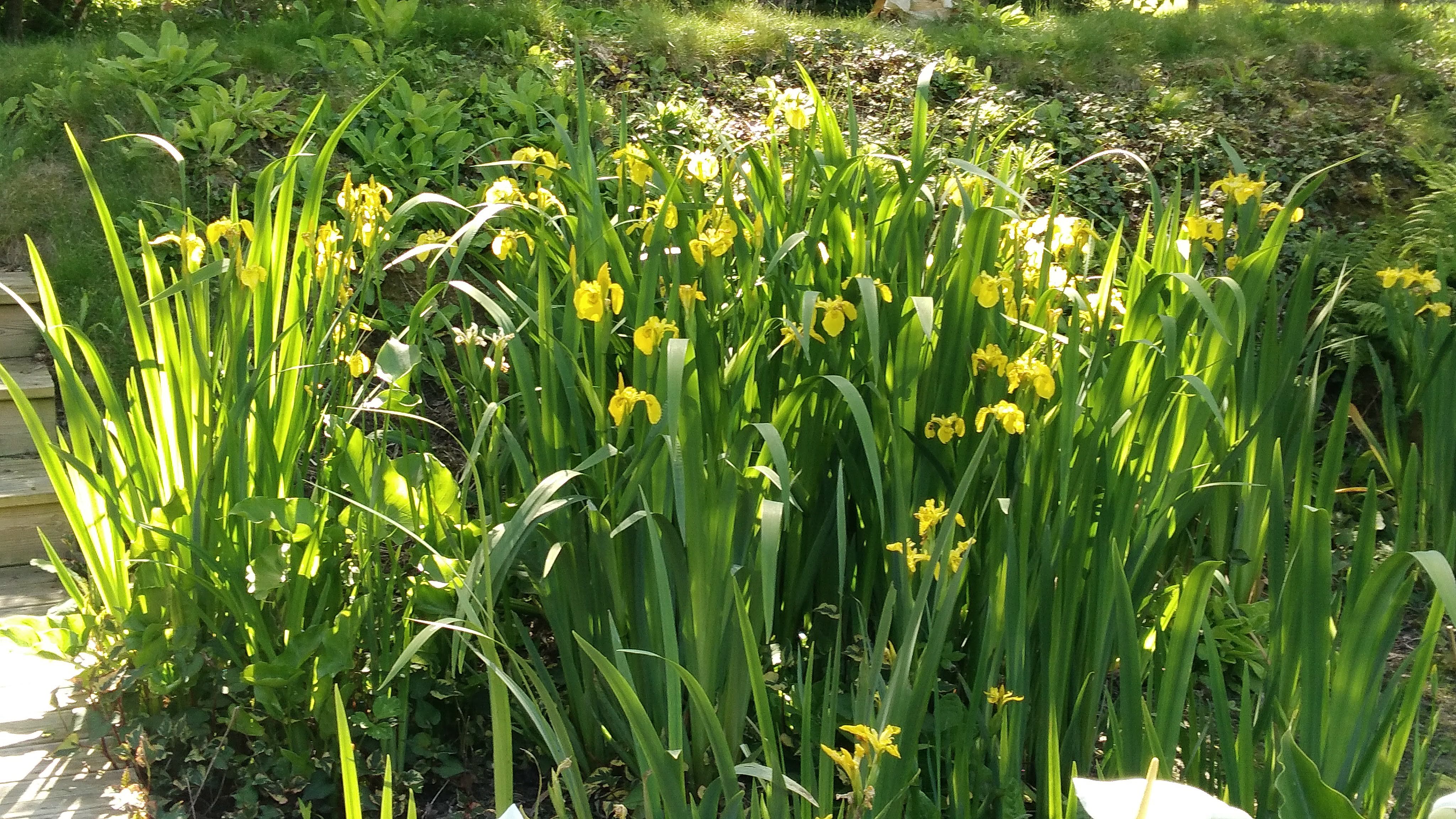 Photo n° 6 de l'avis de Dominique.r fait le 03/06/2018 à 17:34