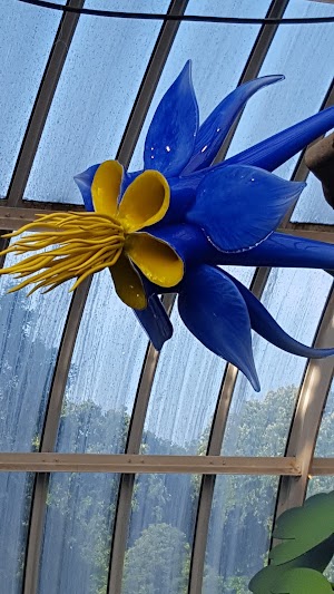 Phipps Conservatory and Botanical Gardens - photo 93