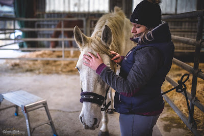 Florine Danjou Animaste - Naturopathe pour animaux, naturopathe animalier & photographe animalier Marne à Lachy