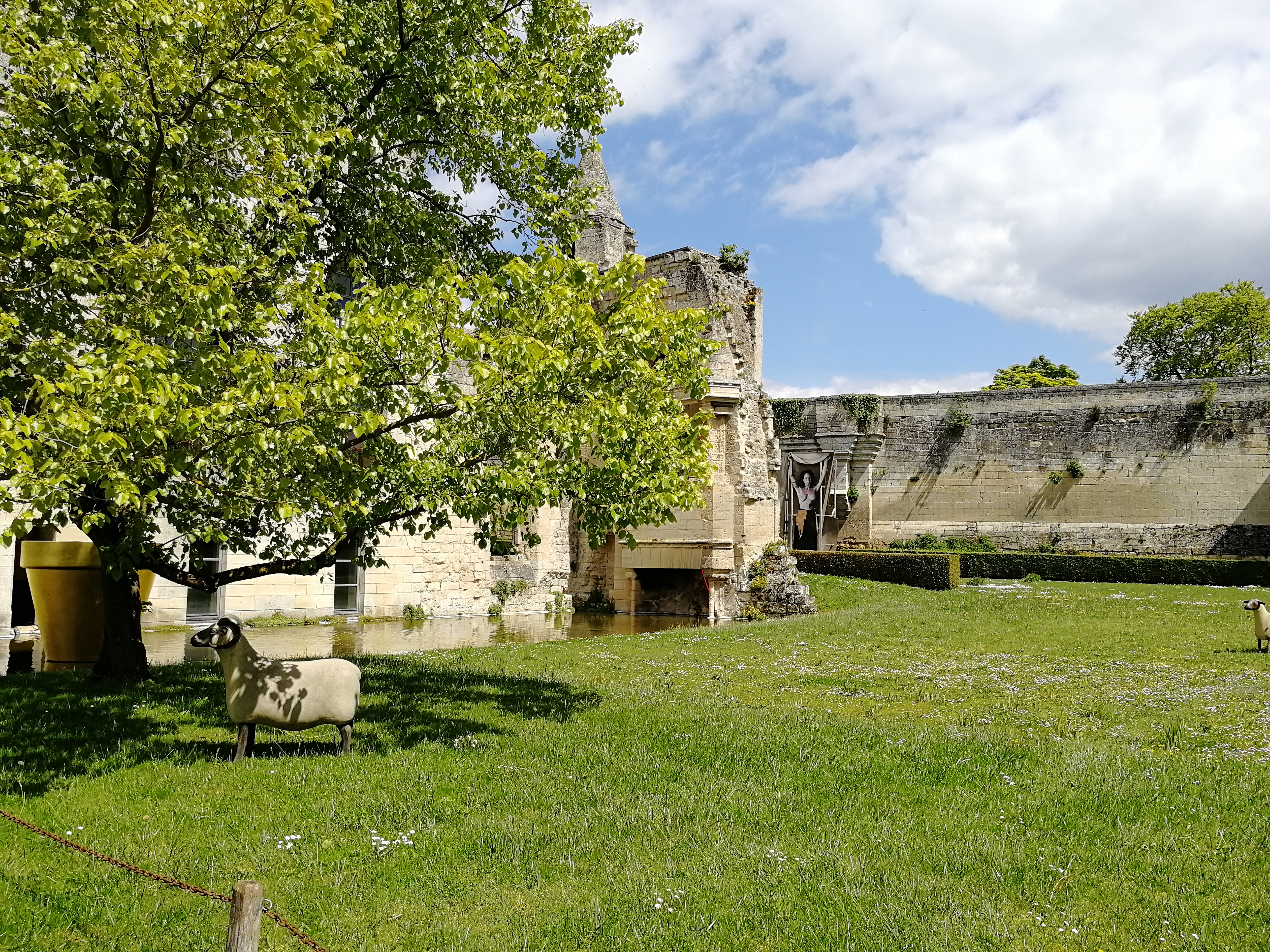 Photo n° 34 de l'avis de Yann.t fait le 12/05/2019 à 15:41