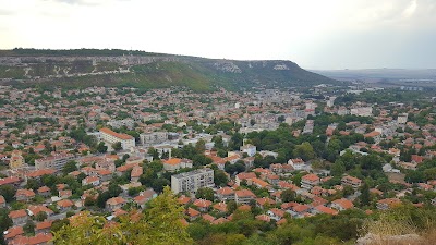 Photos of Pink Provadia
