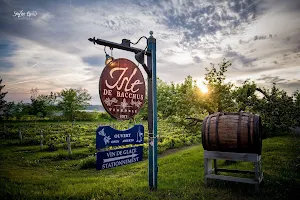 Vignoble Isle de Bacchus image