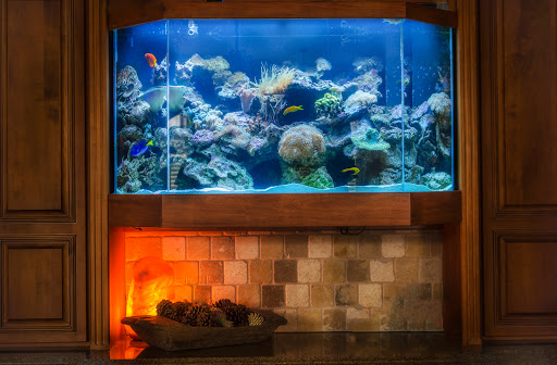 Tropical Fish Store «Premier Aquatics», reviews and photos, 1801 Roswell Rd, Marietta, GA 30062, USA