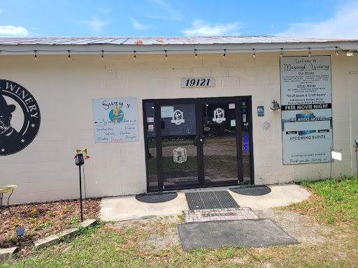 Winery «Masaryk Winery», reviews and photos, 19125 Phillips Rd, Masaryktown, FL 34604, USA