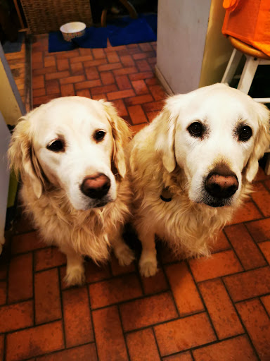 Greenwood Park Animal Hospital