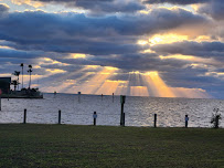 Hernando Beach Landscaping & Tree Trimming - Photo 3 - Car repair in , Spring Hill
