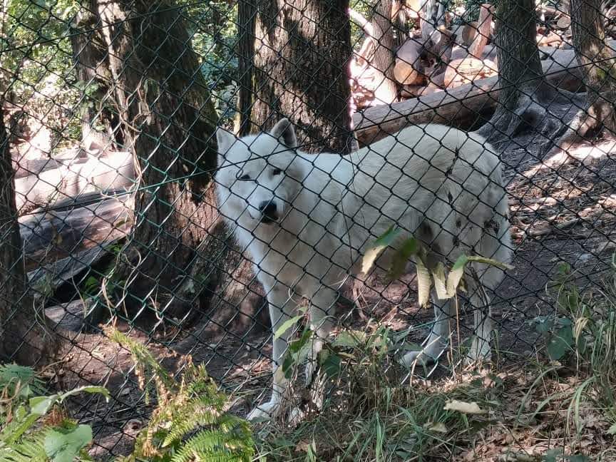 Photo n° 2 de l'avis de Myriam.O fait le 09/08/2022 à 14:13