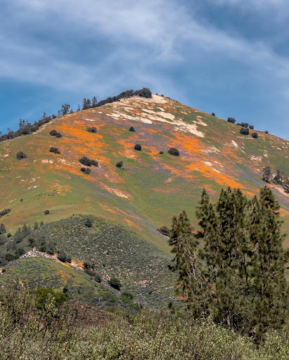 Grass Mountain Trail head