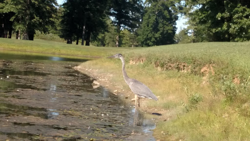 Golf Course «Dragon Ranch Golf Club», reviews and photos, 9488 Leavitt Rd, Elyria, OH 44035, USA