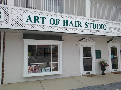 Art of Hair Studio