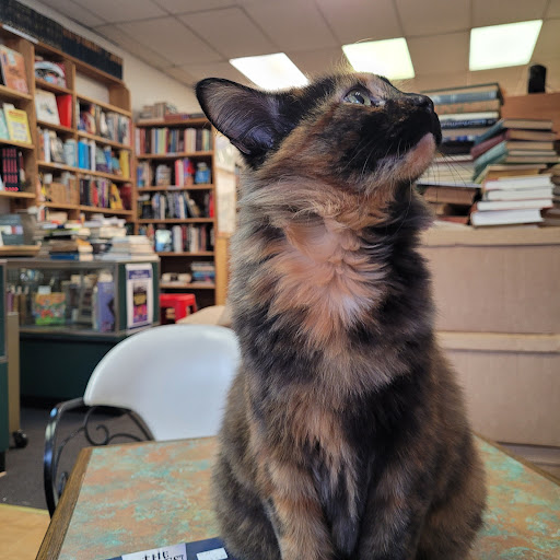 Book Store «The Bookshop in Lakewood», reviews and photos, 15721 Madison Ave, Lakewood, OH 44107, USA