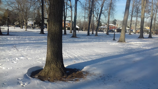 Asian Grocery Store «GreatWall Supermarket», reviews and photos, 144-50 Northern Blvd, Queens, NY 11354, USA