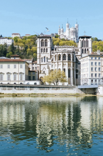 Hôtel Le Roosevelt Lyon