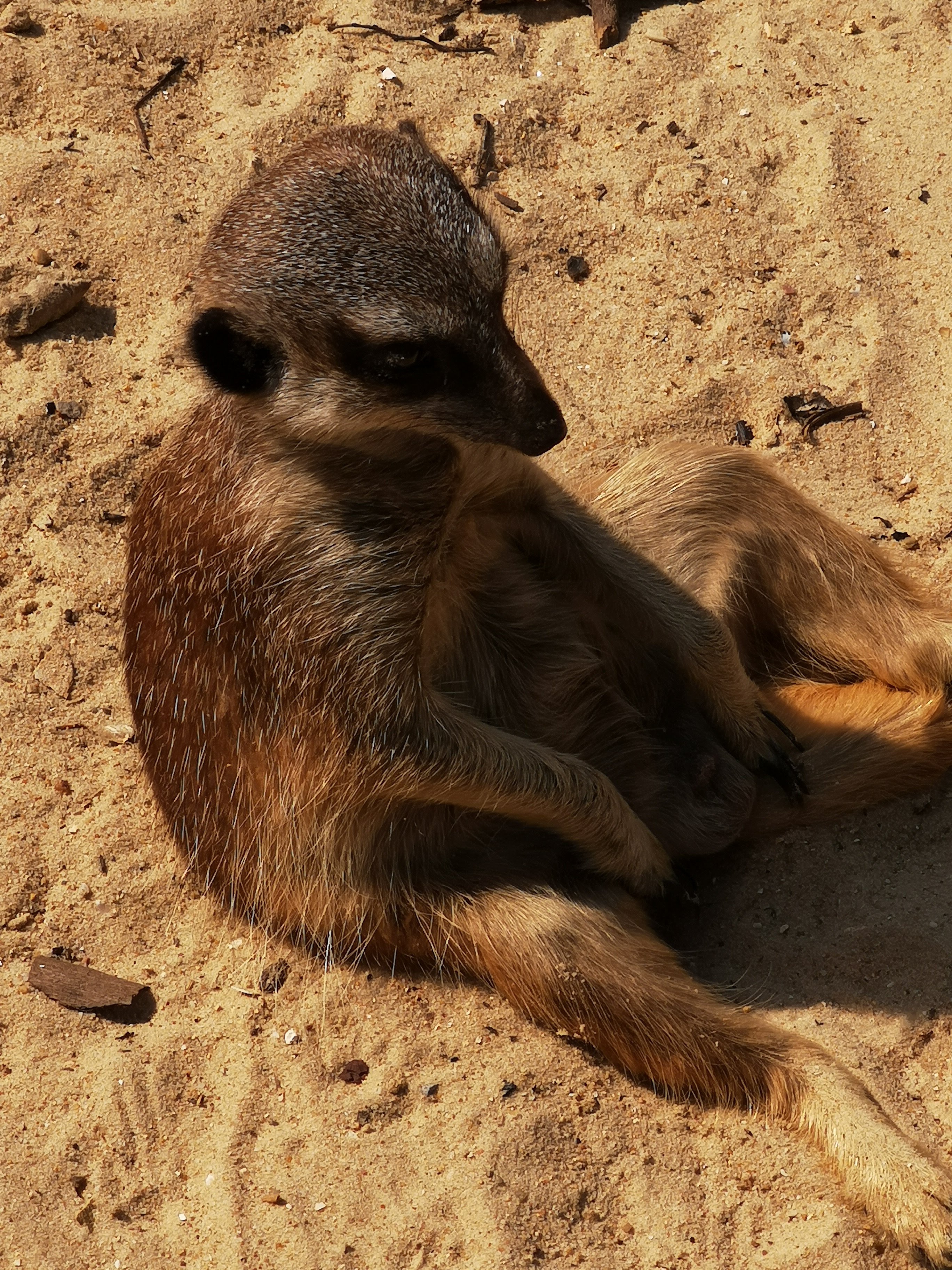 Photo n° 21 de l'avis de Bryan.r fait le 24/04/2018 à 19:19